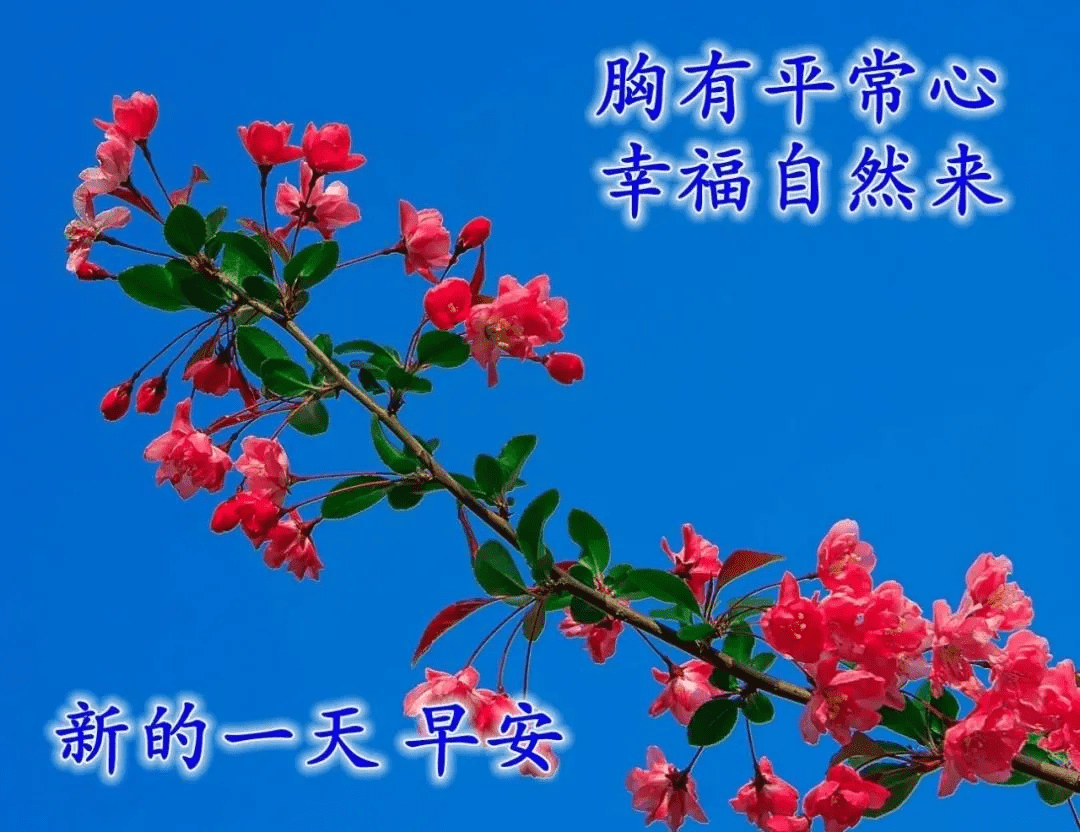 最美的早上好图片,适合发朋友圈的早安祝福语