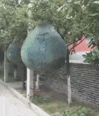 搞笑gif:大哥就不能坚定点,人家美女就是试探你一下