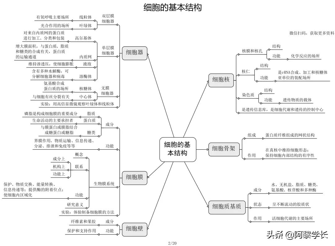 高中生物太难背北大学霸这20张思维导图吃透0丢分