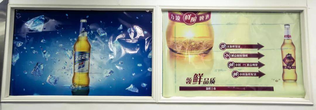 上海人爱了30年的"力波啤酒"回来了!
