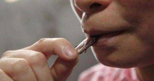 为什么广东人不吃猫肉?理由很简单!老一辈的说法更恐惧!