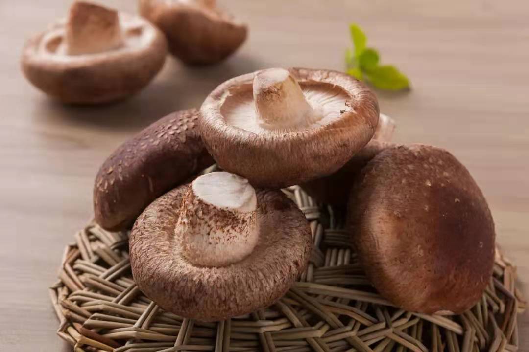 干香菇和鲜香菇更有营养?