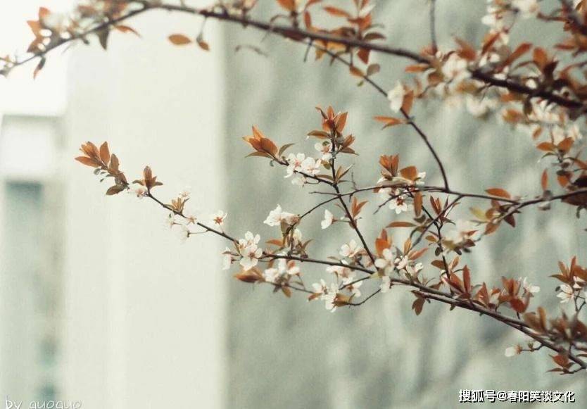 原创珍惜当下因为没人知道明天会发生什么