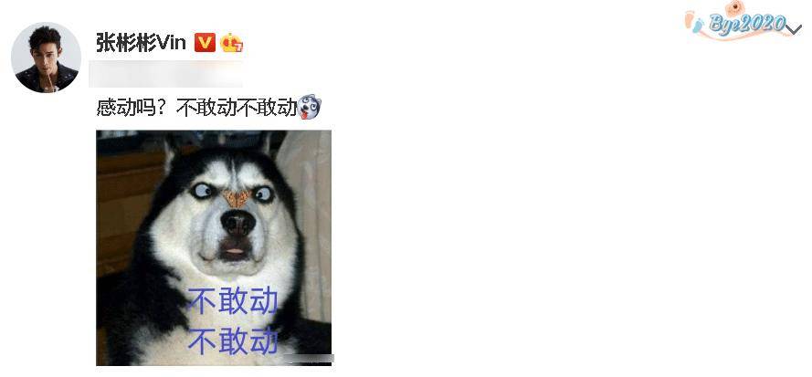 张彬彬在机场被安保架着走,本人回应太搞笑,原因却是跟粉丝有关