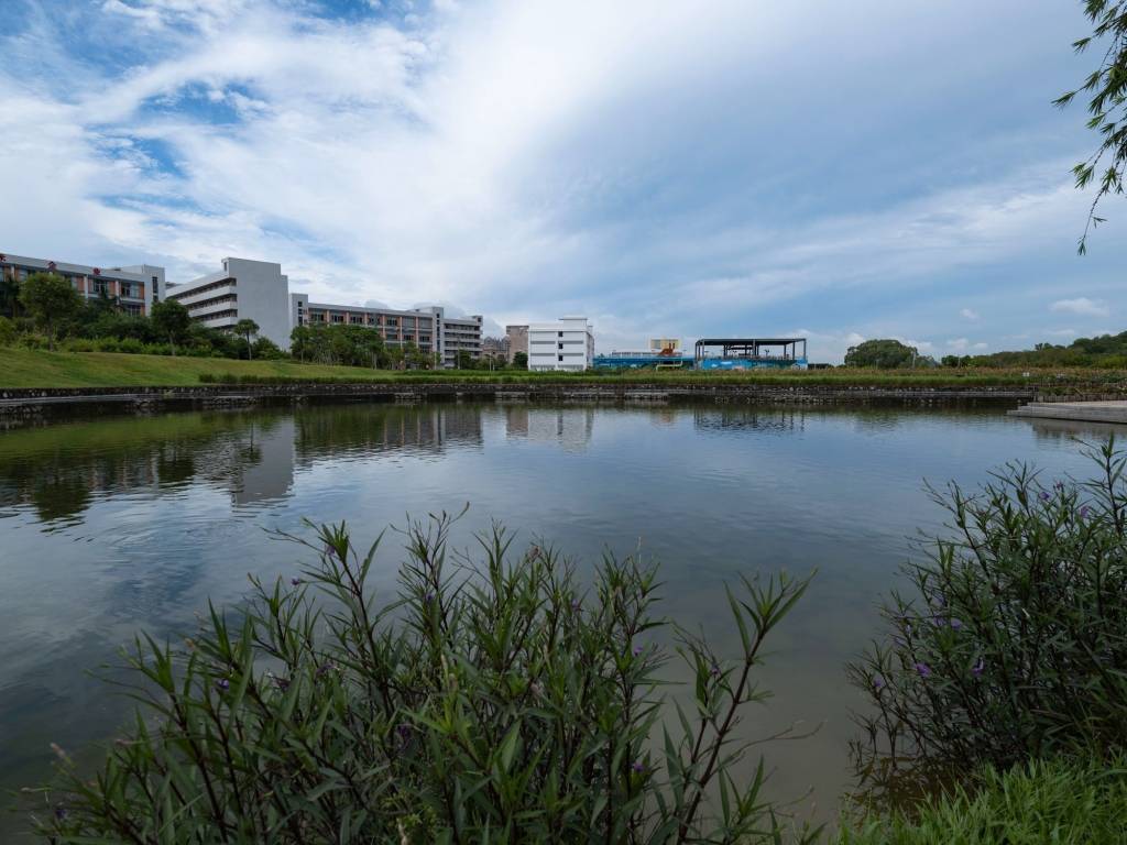 龙岗河湿地公园掠影:绿草茵茵水清见底,雨后来打卡更佳