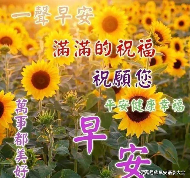 2021年6月2日星期三清晨早上好问候表情图片 周三最新