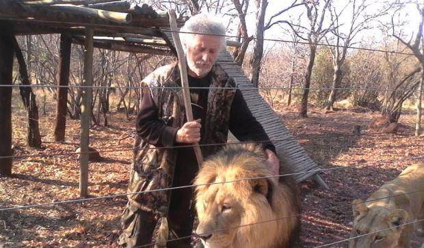 南非老"狮人"修栅栏遭爱狮袭击身亡,为救援3只狮子被杀引愤怒