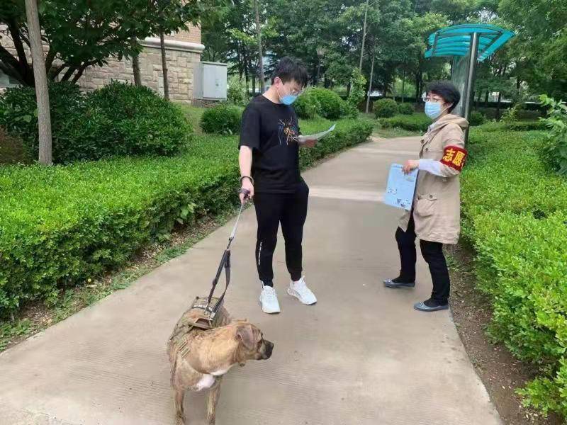龙王塘街道黄泥川村开展助力创城,文明养犬宣传活动