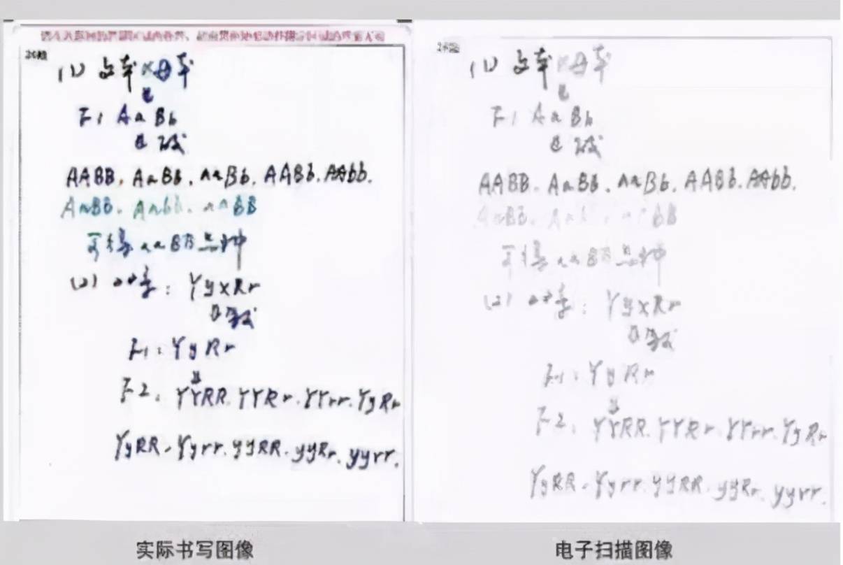 原创中高考电子阅卷潜规则答案相同分数不同细节决定成败