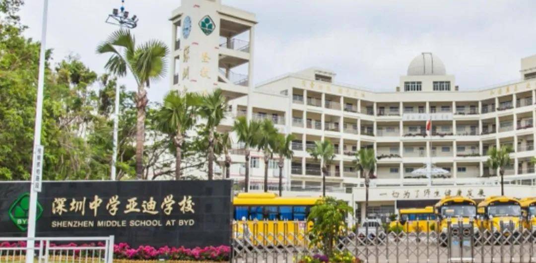 深圳中学亚迪学校,十大录取率33.