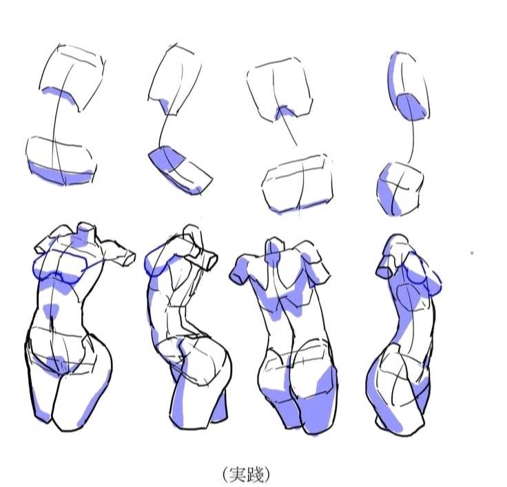【素材】人体结构透视参考