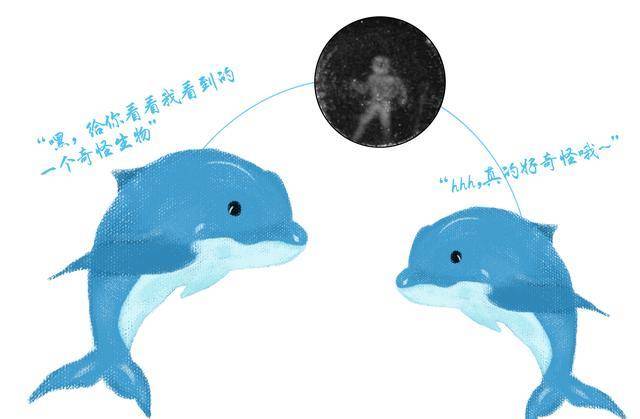 原创原来我们人类在海豚眼中是这样子的,有点萌
