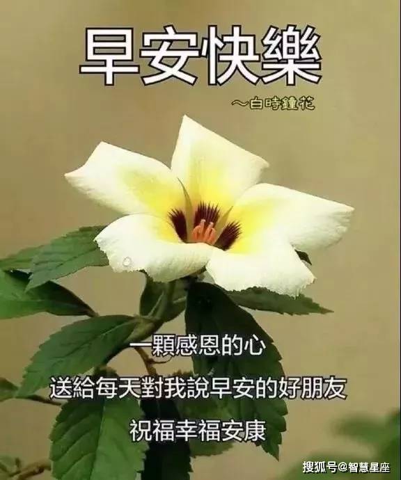 原创今日早上好问候语 早安励志语句正能量早安语录