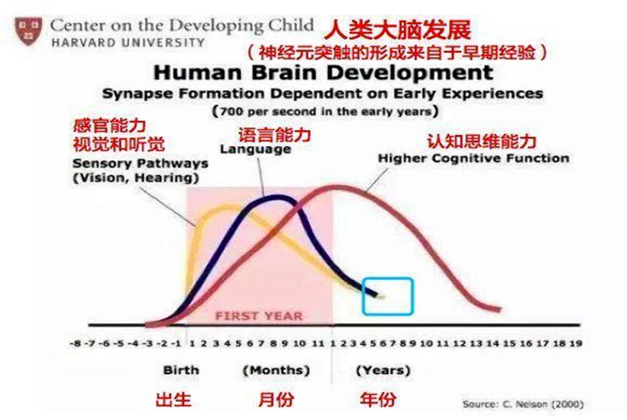 研究证实孩子大脑发育的最佳方式不是阅读八成父母被蒙在鼓里