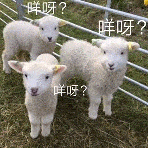 299_299gif 动态图 动图