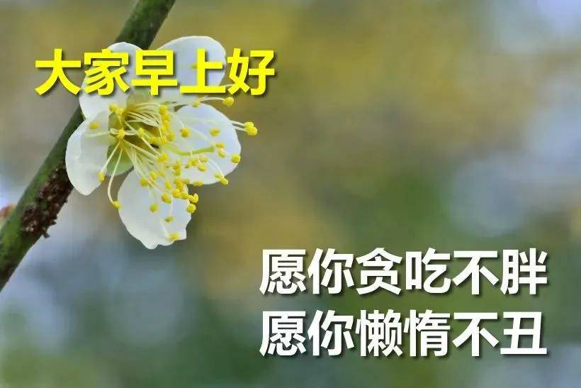 2021送自己8个字图片,20201致自己图片带字 2021年早安温馨精选祝福,带字祝福图片