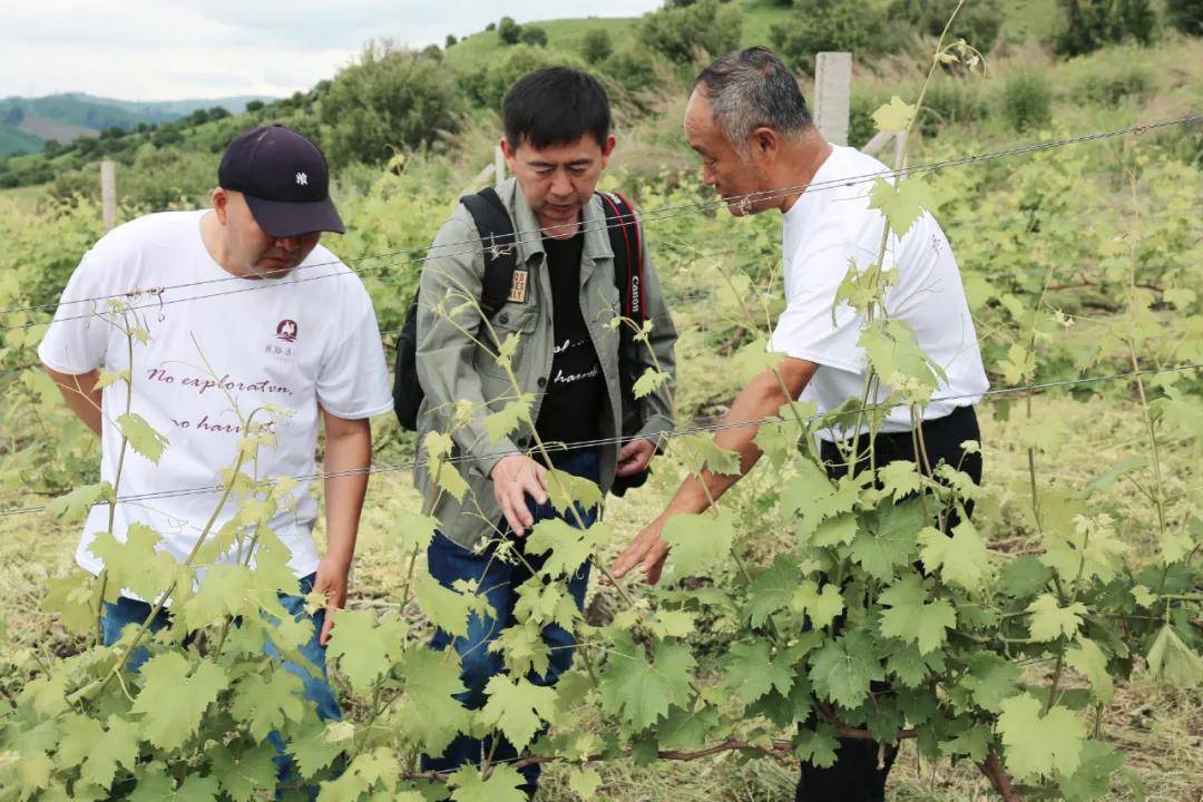 参观库尔德宁葡萄园一路下来,大家都感受到了极大的震撼,被伊犁的美所