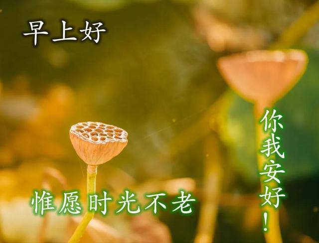 2021年6月17日星期四清晨早上好问候祝福图片 周四最新早安图片带字