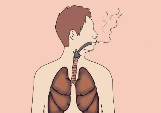 戒烟一周,一个月,一年后,身体分别会出现哪些变化?