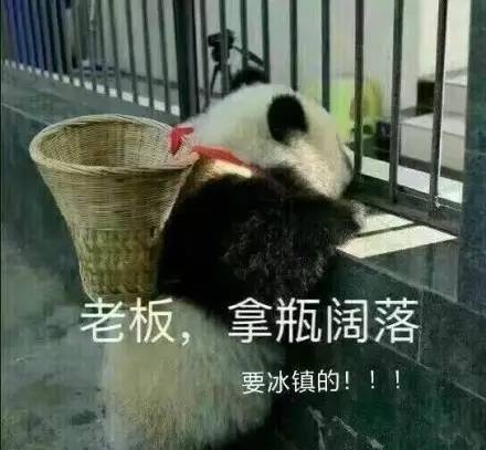 一些熊猫宝宝的看图说话小段子,哈哈哈萌炸!