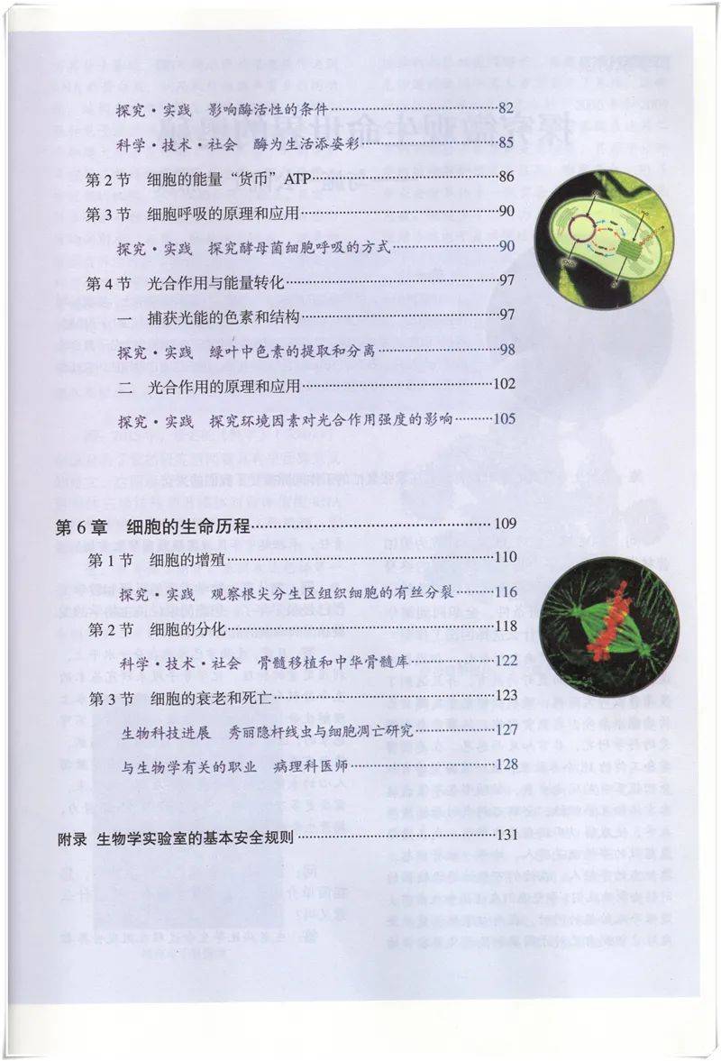 2021新人教版高一生物必修1分子与细胞必修第一册电子