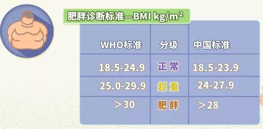 如果bmi超过24,就是超重;如果超过28,就是肥胖