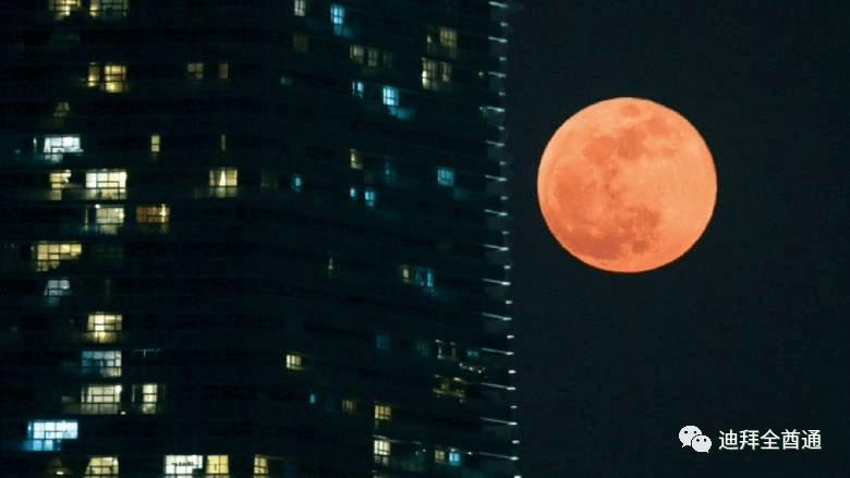 "草莓月亮"来了!2021年最后一次超级月亮6月24日照亮阿联酋!