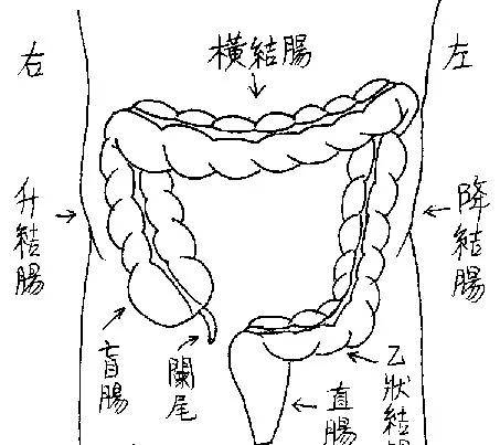 原创35岁男子突发肠癌离世,曾有肛周瘙痒,这是信号吗?该如何预防