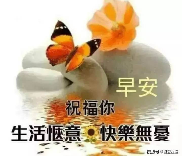 周五非常漂亮的早安问候祝福语动态表情图片,温馨早安