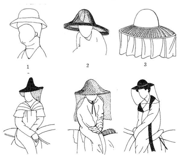 其实这种斗笠有专业的名称,叫做 帷帽,同时也叫做 昭君帽.