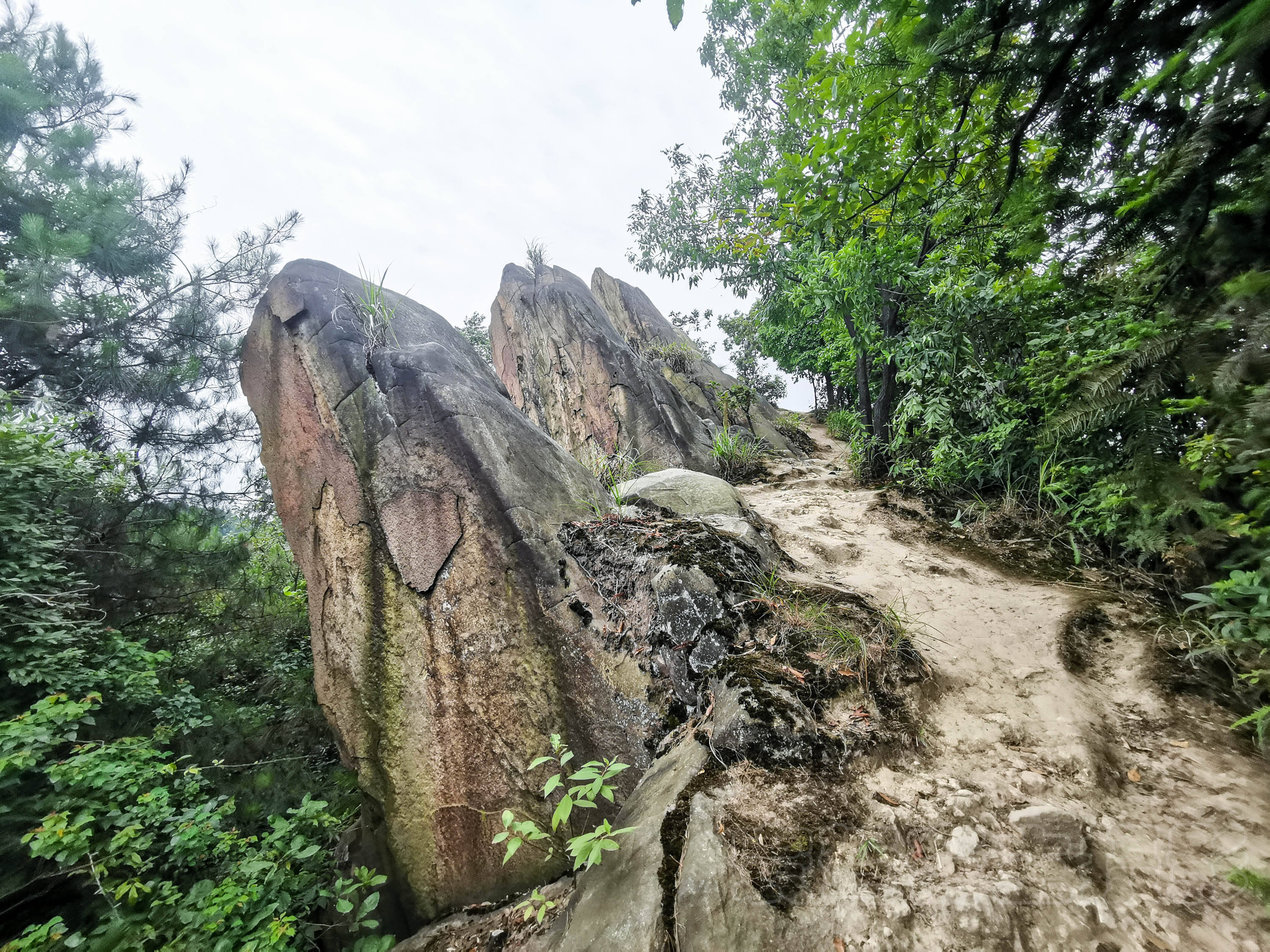 重庆那座连导航都害怕的复杂立交桥在涂山三块石就能俯瞰到全貌