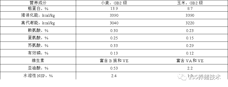 01\小麦与玉米主要营养成分比较