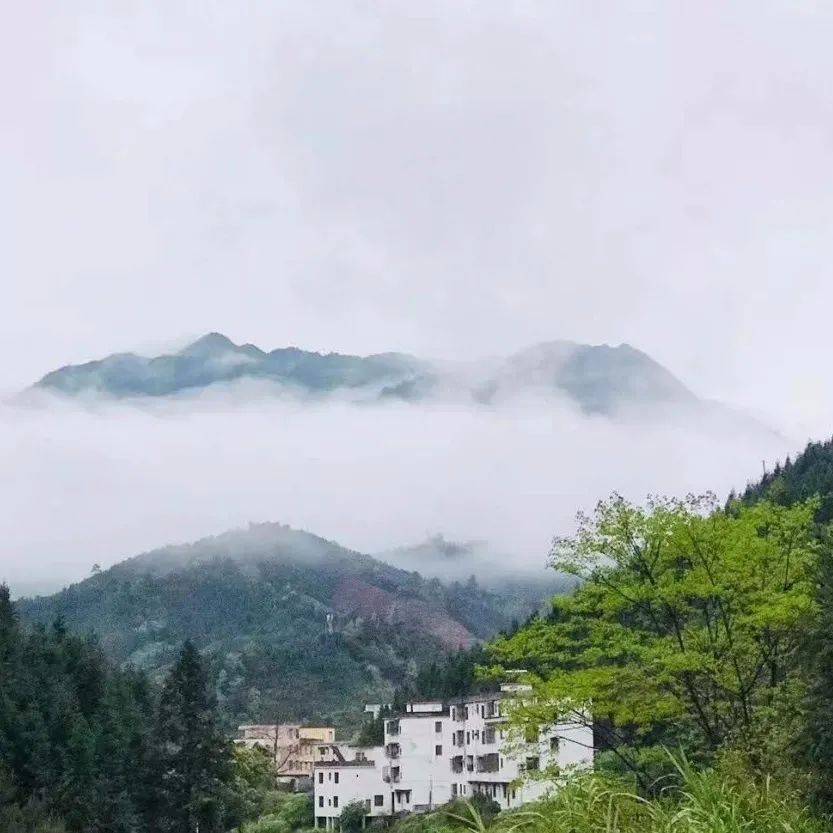 乐昌九峰镇:菩提大院