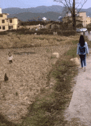 搞笑gif动图,朋友说他发明了永动机,我要不要入一股!