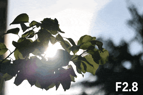 不同光圈档位下rf 100mm f2.8 l macro is usm的炫光测试对比gif图2