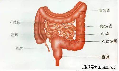 体内肠癌,放屁先知!放屁若出现这种现象,或是"大肠癌"