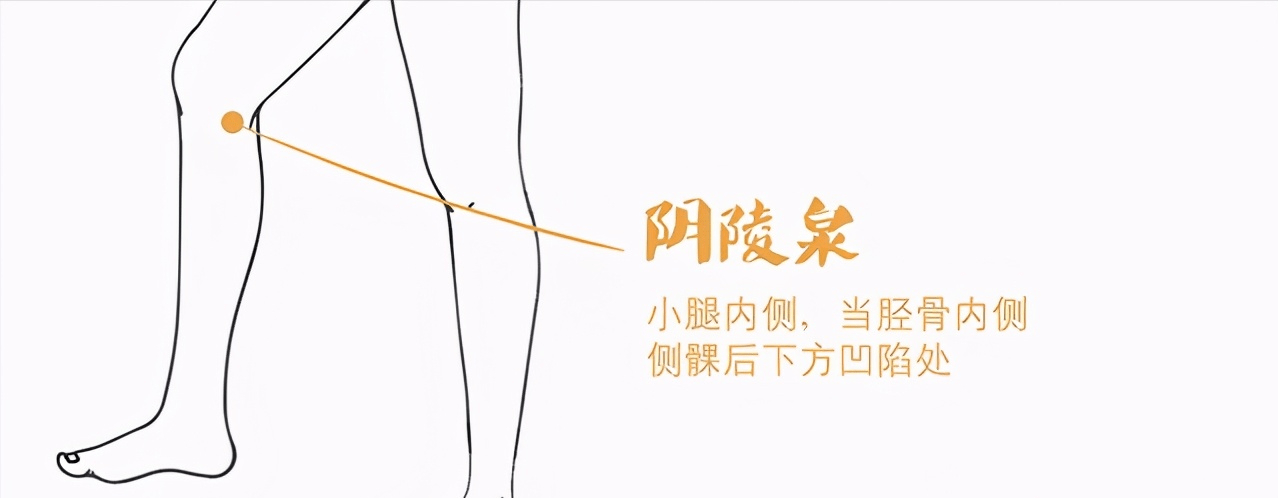 位置:位于小腿内侧,胫骨内侧髁后下方的凹陷处.