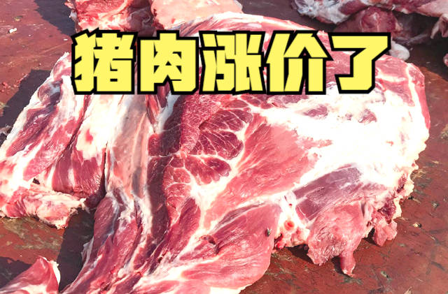 原创猪肉涨价了一周上涨4元储备猪肉收储启动后市要大涨