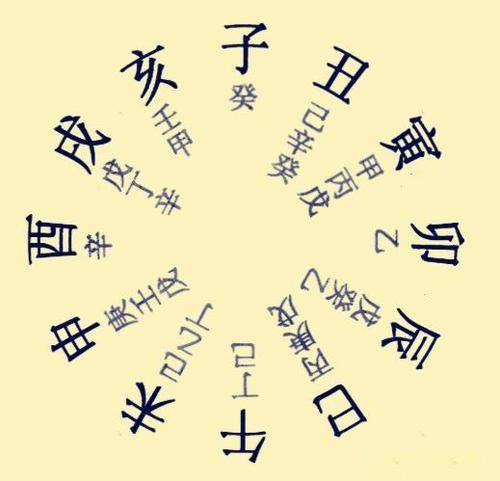 十二地支六合局如何去解读