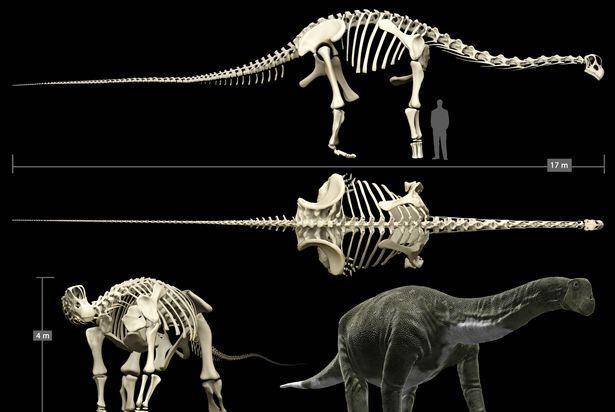 原创阿根廷发现新的恐龙化石,也许为史上"最大生物"化石