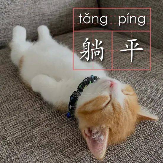 最近最常听见的一句话就是:你们卷吧,我躺了