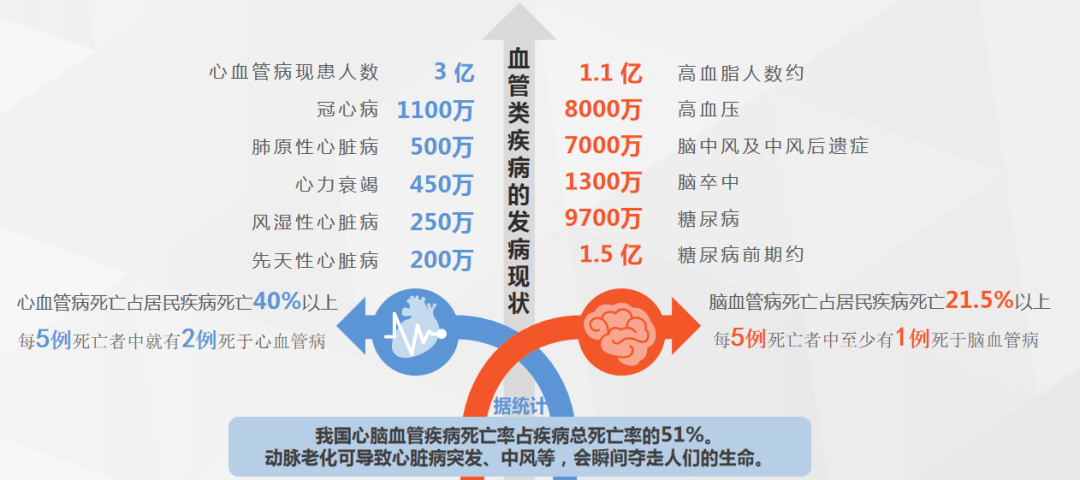 每12秒便有1人死于心脑血管疾病第一大杀手