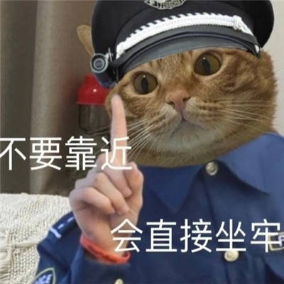 小猫咪警察搞笑表情包大全