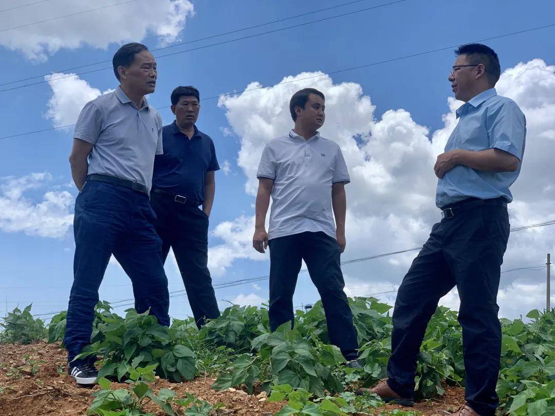 会理县委常委统战部部长卢兴明调研督导会理生态环境保护工作