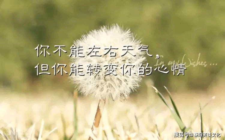 2021特别温暖感动的一句话,句句窝心,致自己的心灵鸡汤