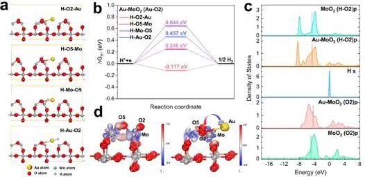 通过aumoo2异质结构的auo键强耦合实现增强析氢反应