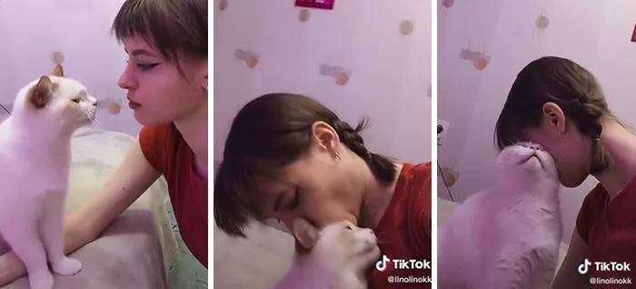 原创当你亲一下猫猫咪会有什么反应别人家的猫又赢了