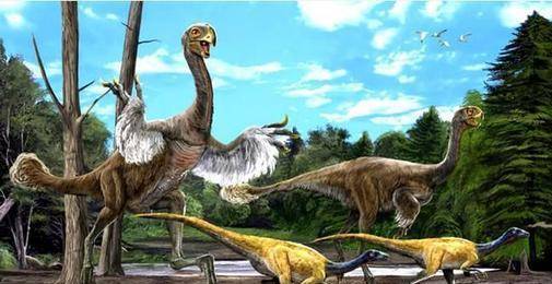 原创鸟的祖先不是始祖鸟科学家称也许它就是一只恐龙