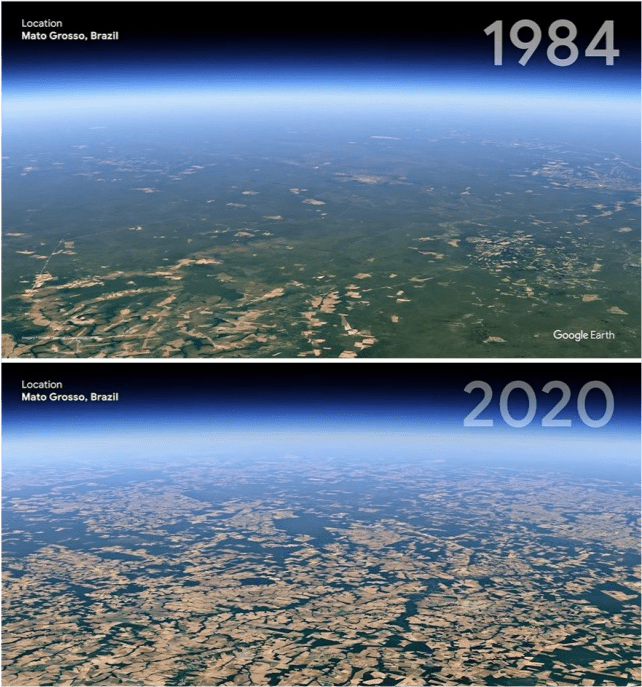 展示了从1984年到2020年我们世界的海洋,森林,冰川,海滩和城市的变化