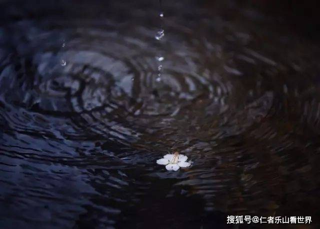 下雨天,随处都是景,怎么拍出意境?